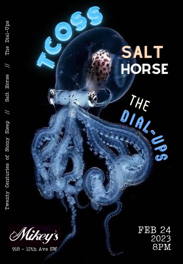 Poster for Feb 24, 2023 at Salt Horse with The Dial-Ups