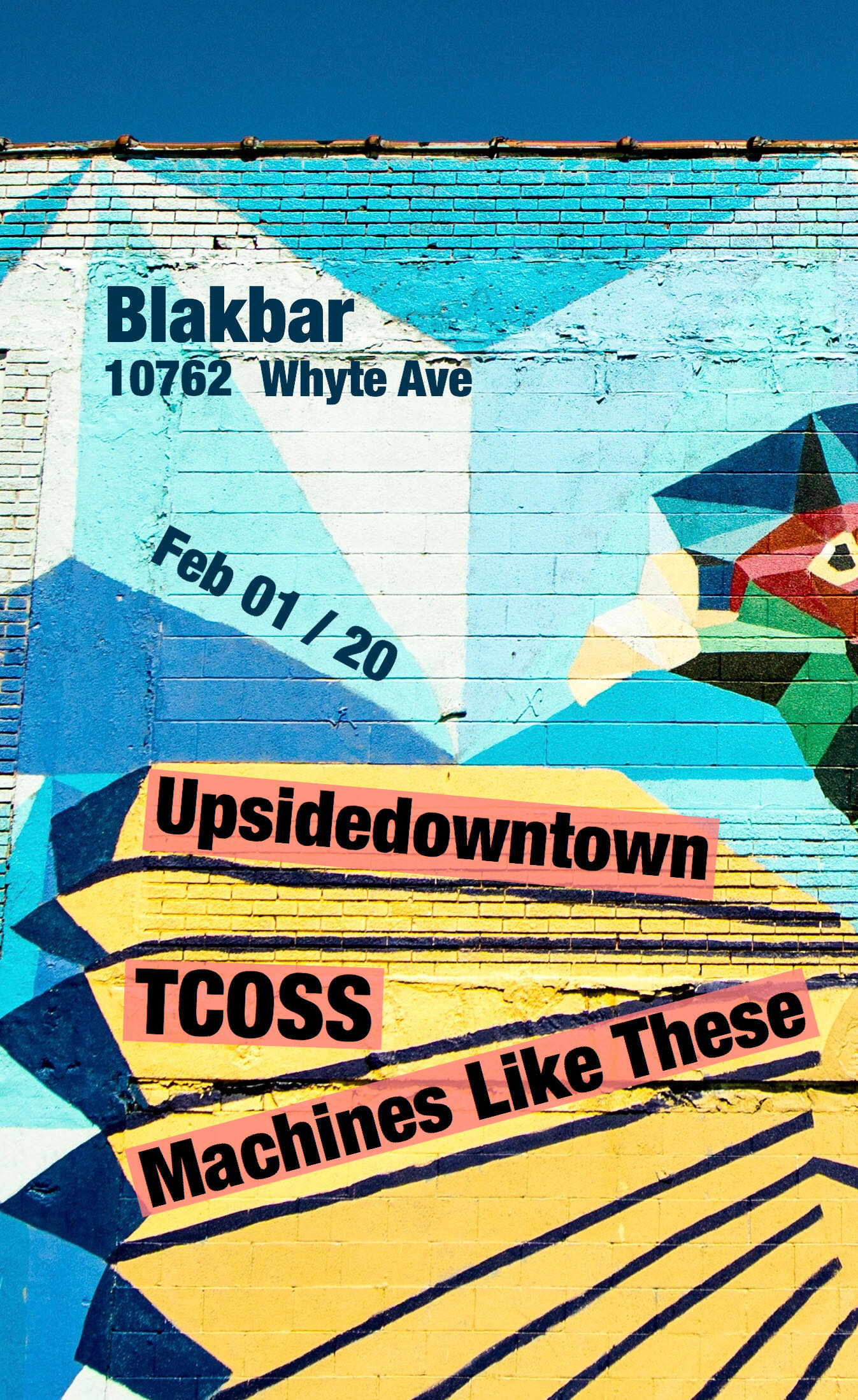 Poster for a Feb 1, 2020 TCOSS show